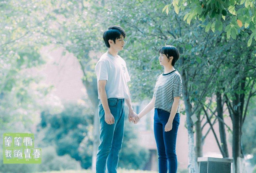 小猫钓鱼正版下载中文版