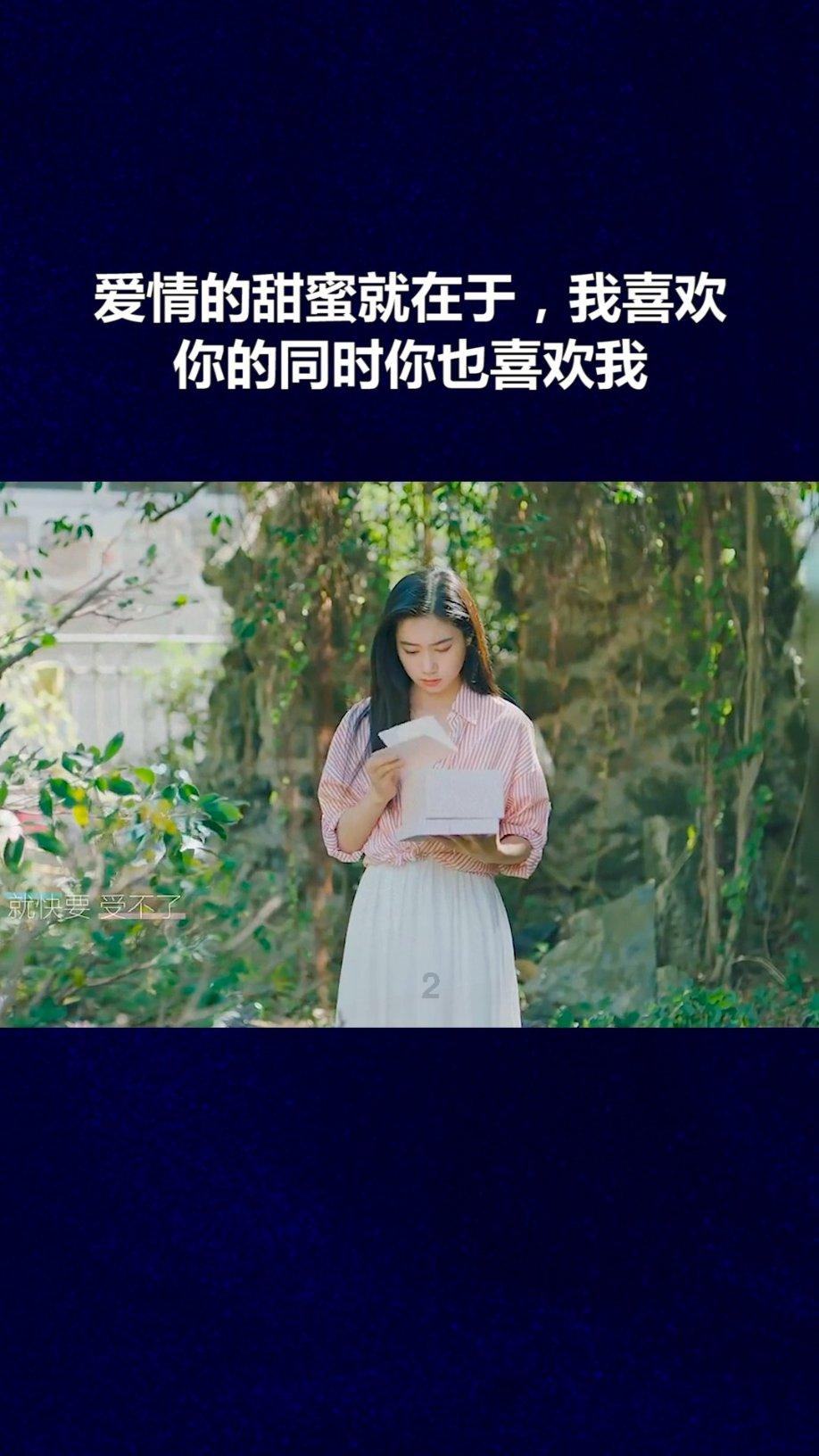 小猫钓鱼正版下载中文版